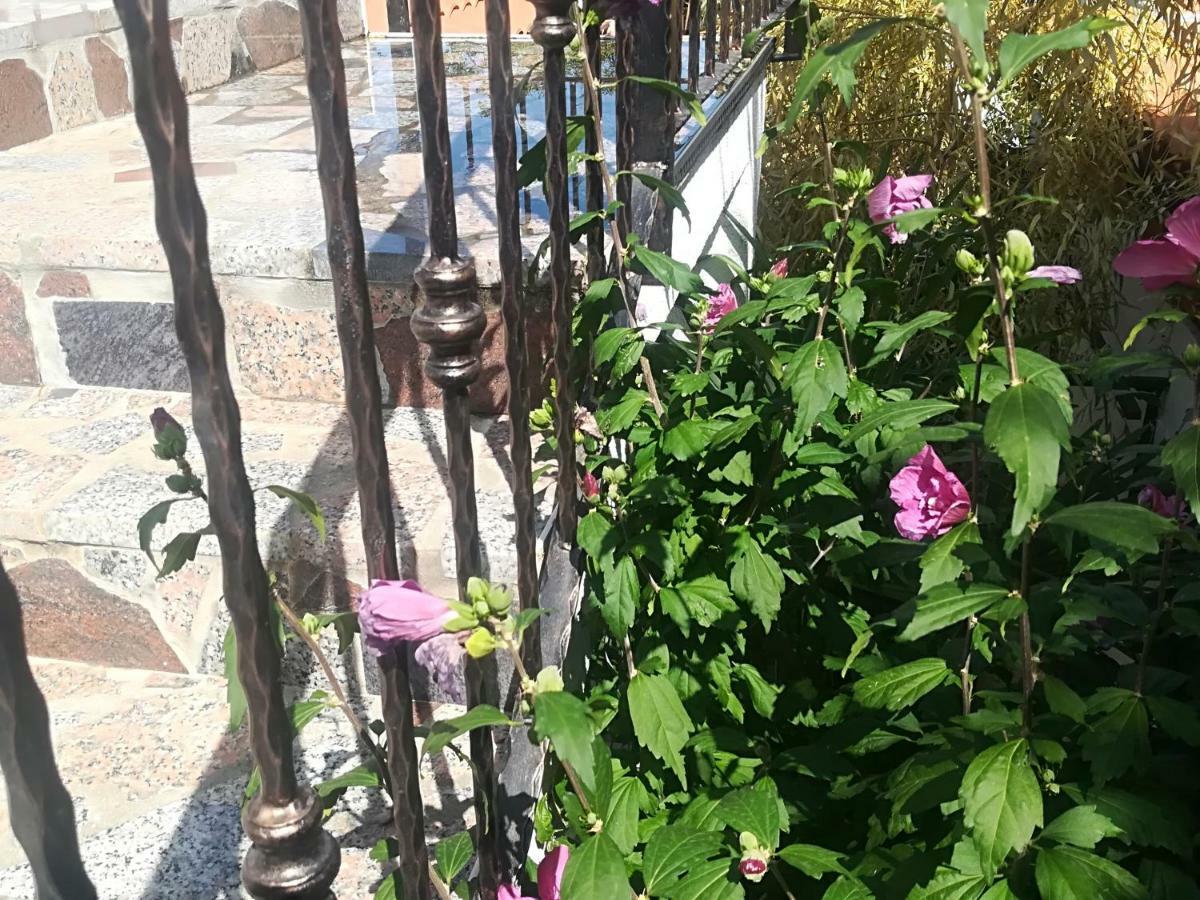 Apartment Jozefina Πόρετς Εξωτερικό φωτογραφία